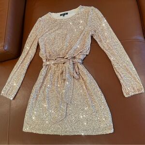 Elegant Sequin Long Sleeve Dress